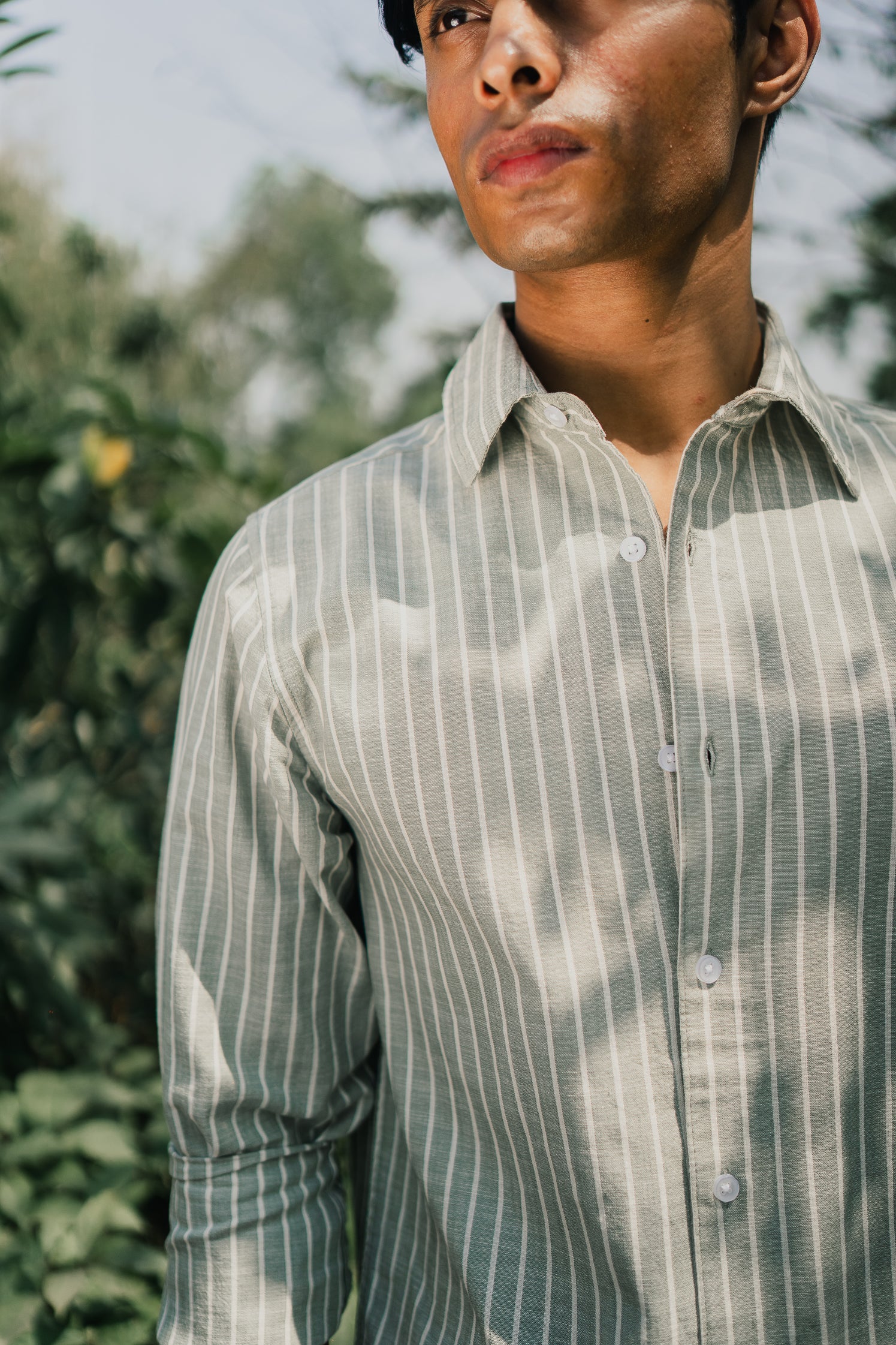 Long Sleeve Shirt for Men - Olive White Stripe