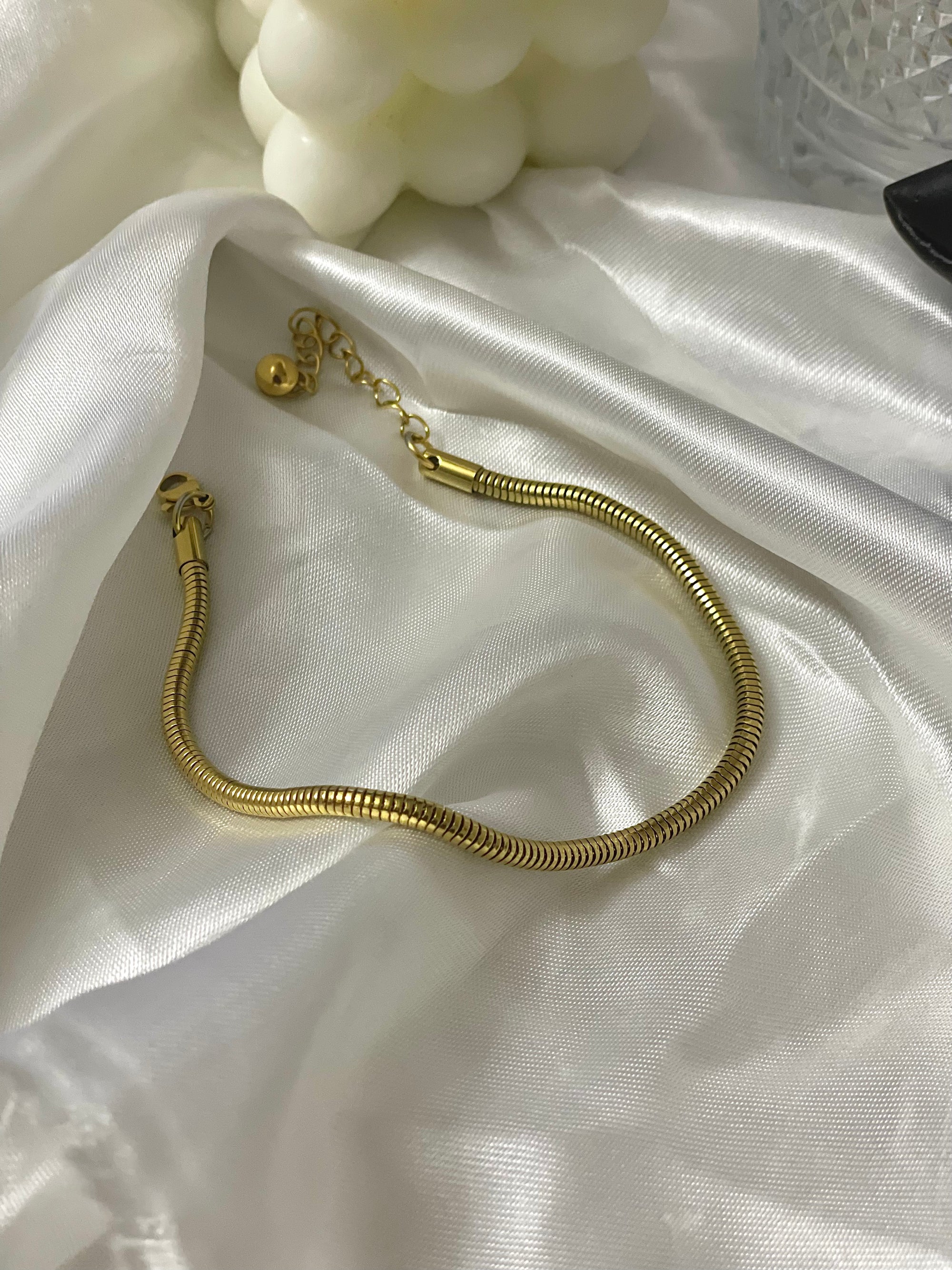 Thick Snake Bone Chain Anklet