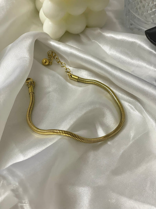 Thick Snake Bone Chain Anklet